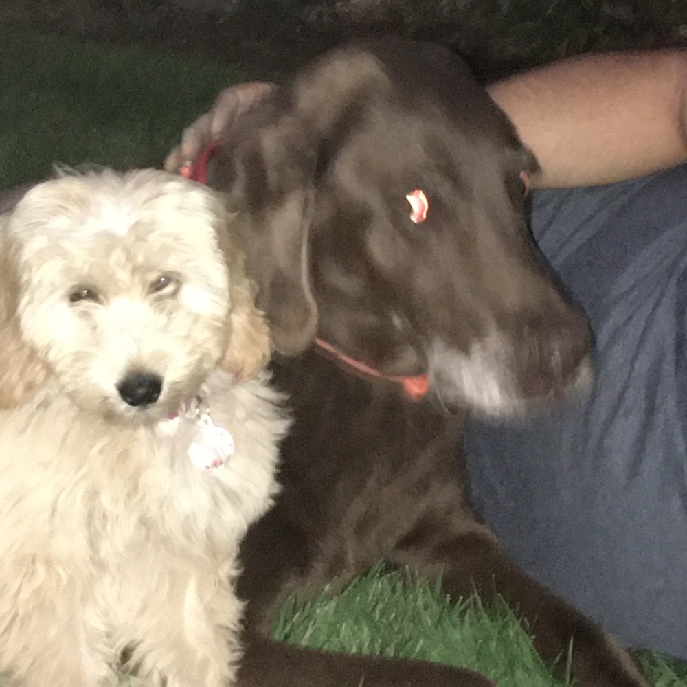 Meet your Posher, Luke